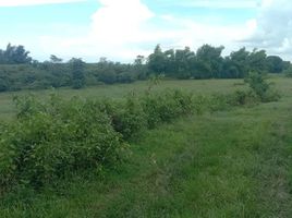  Land for sale in Western Visayas, Santa Barbara, Iloilo, Western Visayas