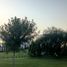  Land for sale in Jesus Maria, Aguascalientes, Jesus Maria