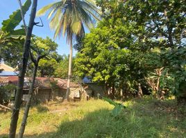  Terrain for sale in Bataan, Central Luzon, Samal, Bataan