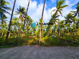  Terrain for sale in Bacong, Negros Oriental, Bacong