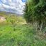  Land for sale in Malacatos Valladolid, Loja, Malacatos Valladolid, Loja, Loja