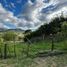  Land for sale in Malacatos Valladolid, Loja, Malacatos Valladolid, Loja, Loja