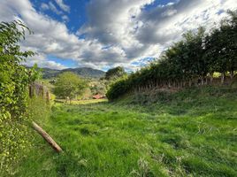  Land for sale in Malacatos Valladolid, Loja, Malacatos Valladolid, Loja, Loja