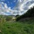  Land for sale in Malacatos Valladolid, Loja, Malacatos Valladolid, Loja, Loja