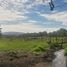  Terreno (Parcela) en venta en Loncoche, Cautín, Loncoche