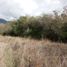  Terreno (Parcela) en venta en Chile, Villarrica, Cautín, Araucanía, Chile