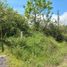  Land for sale in San Antonio, Ibarra, San Antonio