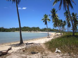  토지을(를) Quezon, 팔라완에서 판매합니다., Quezon