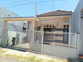 2 Bedroom House for sale in Singosari, Malang Regency, Singosari