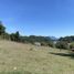  Terrain for sale in Curarrehue, Cautin, Curarrehue