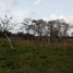  Land for sale in Tlalixcoyan, Veracruz, Tlalixcoyan