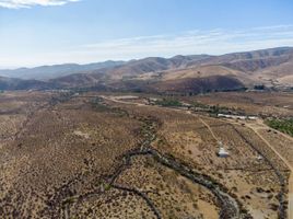 토지을(를) 리 마리, 코 퀴보에서 판매합니다., Ovalle, 리 마리