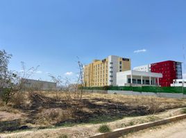  Land for rent in Aguascalientes, Aguascalientes, Aguascalientes, Aguascalientes