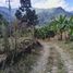 4 Bedroom Villa for sale in Genova, Quindio, Genova