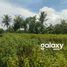  Terreno (Parcela) en venta en Tabanan, Bali, Tabanan, Tabanan, Bali, Indonesia