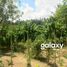  Terreno (Parcela) en venta en Tabanan, Bali, Tabanan, Tabanan, Bali, Indonesia