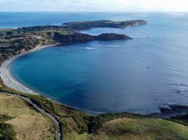  Terrain for sale in Ancud, Chiloe, Ancud
