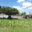  Land for sale in Villa De Arriaga San Luis Potosi, Villa De Arriaga