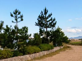  Land for sale in Villa De Arriaga, San Luis Potosi, Villa De Arriaga, San Luis Potosi