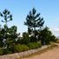  Land for sale in Villa De Arriaga San Luis Potosi, Villa De Arriaga