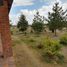  Land for sale in Villa De Arriaga San Luis Potosi, Villa De Arriaga