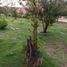  Land for sale in Villa De Arriaga, San Luis Potosi, Villa De Arriaga, San Luis Potosi