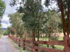  Terreno (Parcela) en venta en Chile, Entre Lagos, Osorno, Los Lagos, Chile
