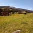  Terreno (Parcela) en venta en Chile, Licanten, Curicó, Maule, Chile