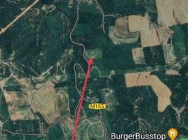  Land for sale in Alor Gajah, Melaka, Brisu, Alor Gajah