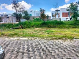  Grundstück zu verkaufen in San Jeronimo Tecuanipan, Puebla, San Jeronimo Tecuanipan, Puebla