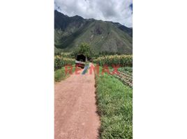  Land for sale in Huayllabamba, Urubamba, Huayllabamba