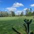  Terreno (Parcela) en venta en Chile, Villarrica, Cautín, Araucanía, Chile