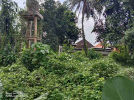  Grundstück zu verkaufen in Badung, Bali, Mengwi