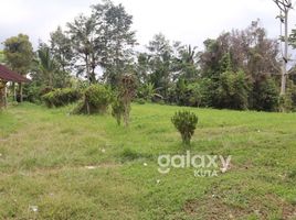  Terrain for sale in Baturiti, Tabanan, Baturiti