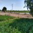  Terreno (Parcela) en venta en La Joya, Arequipa, La Joya, Arequipa, Arequipa