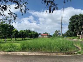  Land for sale in San Rafael, Bulacan, San Rafael