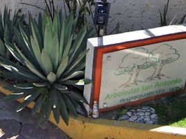 3 Habitación Casa en venta en San Jeronimo Tecuanipan, Puebla, San Jeronimo Tecuanipan