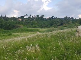  Land for sale in Cavite, Calabarzon, Tagaytay City, Cavite