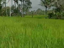  Land for sale in Tabanan, Bali, Pupuan, Tabanan