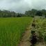  Terrain for sale in Pupuan, Tabanan, Pupuan