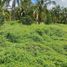  Land for sale in Santa Maria, Laguna, Santa Maria