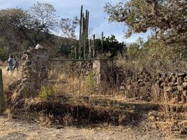  Grundstück zu verkaufen in Queretaro, Queretaro, Queretaro, Queretaro