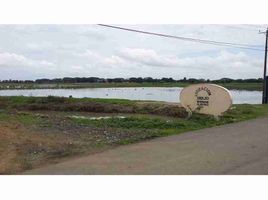  Land for sale in Samborondon, Guayas, Samborondon, Samborondon