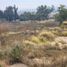  Terreno (Parcela) en venta en Tonala, Jalisco, Tonala