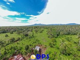  Land for sale in Davao del Sur, Davao, Davao City, Davao del Sur