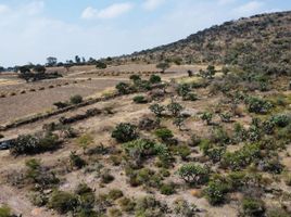  Terrain for sale in Huimilpan, Queretaro, Huimilpan