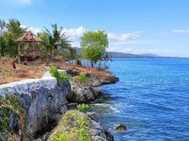  Land for sale in Alcoy, Cebu, Alcoy