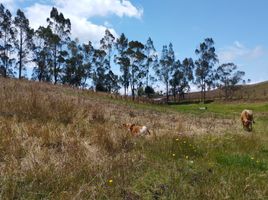  Terrain for sale in Bolivar, Guaranda, Guaranda, Bolivar