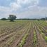  Land for sale in Texcoco, Mexico, Texcoco