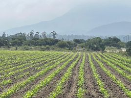  Land for sale in Texcoco, Mexico, Texcoco